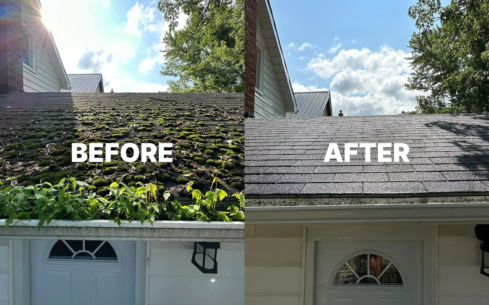 Moss-covered roof before and after cleaning